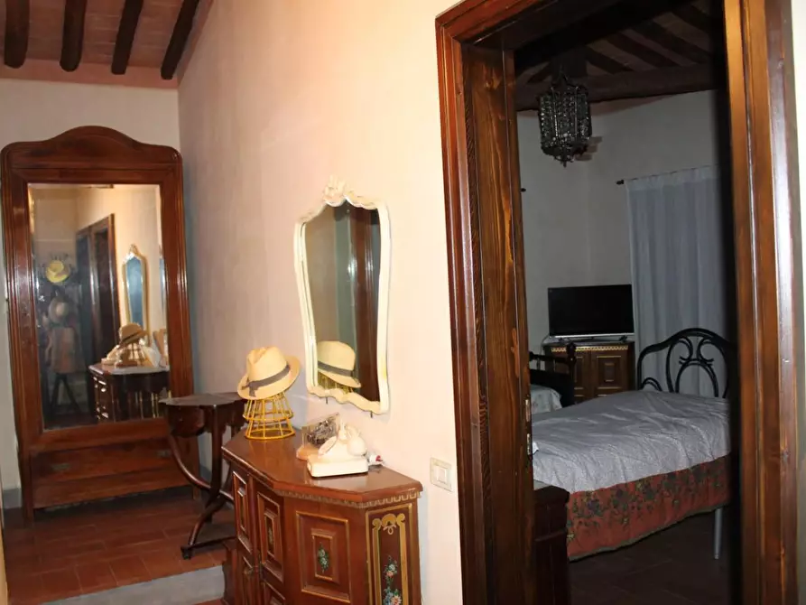 Immagine 22 di Casa colonica in vendita  a Crespina Lorenzana