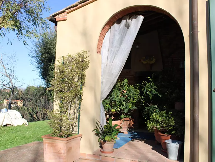 Immagine 79 di Casa colonica in vendita  a Crespina Lorenzana