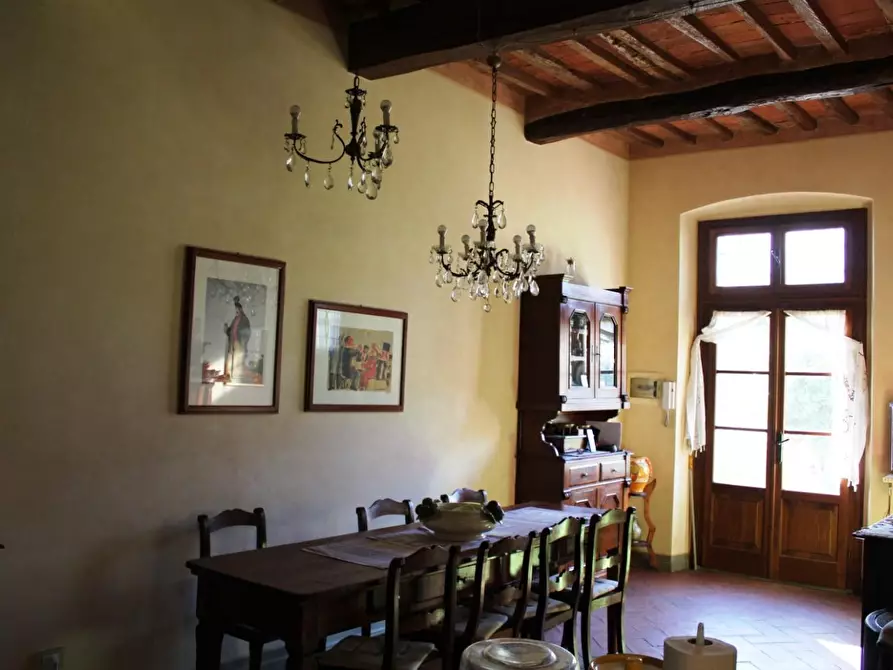 Immagine 50 di Casa colonica in vendita  a Crespina Lorenzana