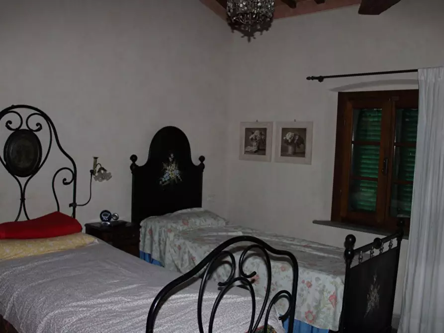 Immagine 24 di Casa colonica in vendita  a Crespina Lorenzana