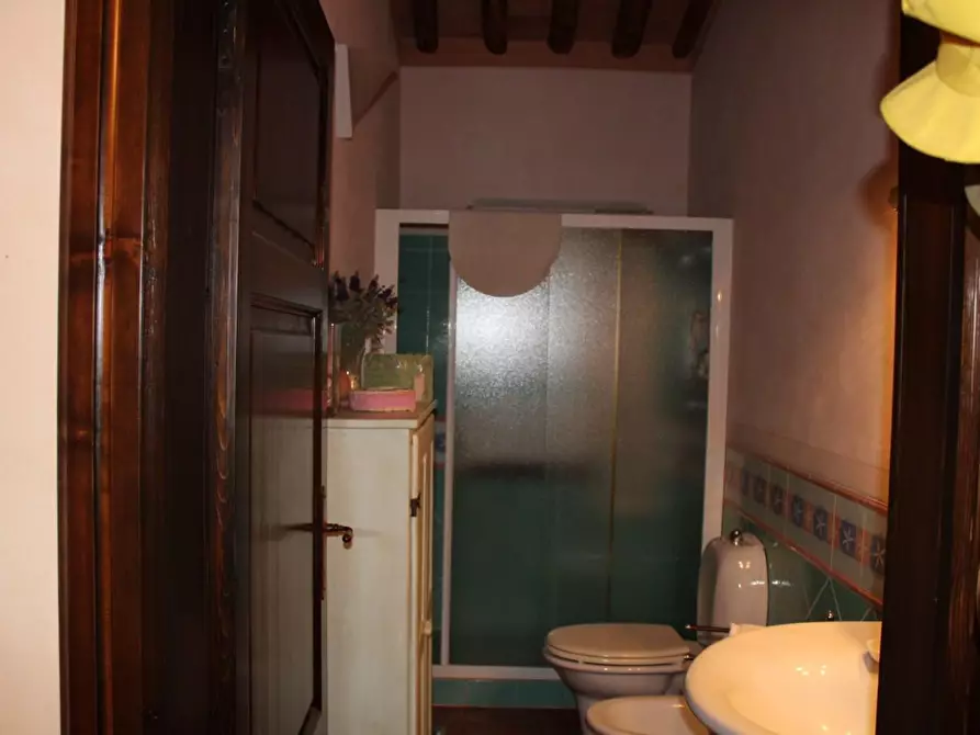 Immagine 57 di Casa colonica in vendita  a Crespina Lorenzana