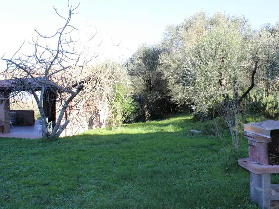 Immagine 86 di Casa colonica in vendita  a Crespina Lorenzana