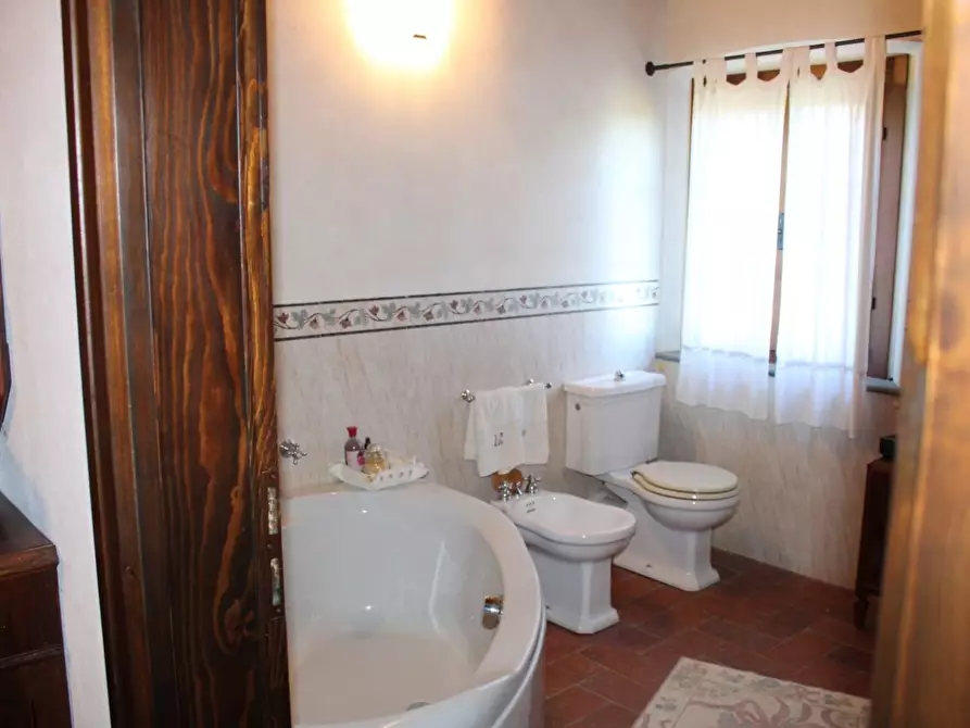 Immagine 29 di Casa colonica in vendita  a Crespina Lorenzana