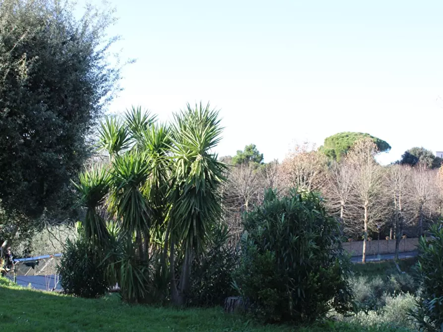 Immagine 45 di Casa colonica in vendita  a Crespina Lorenzana