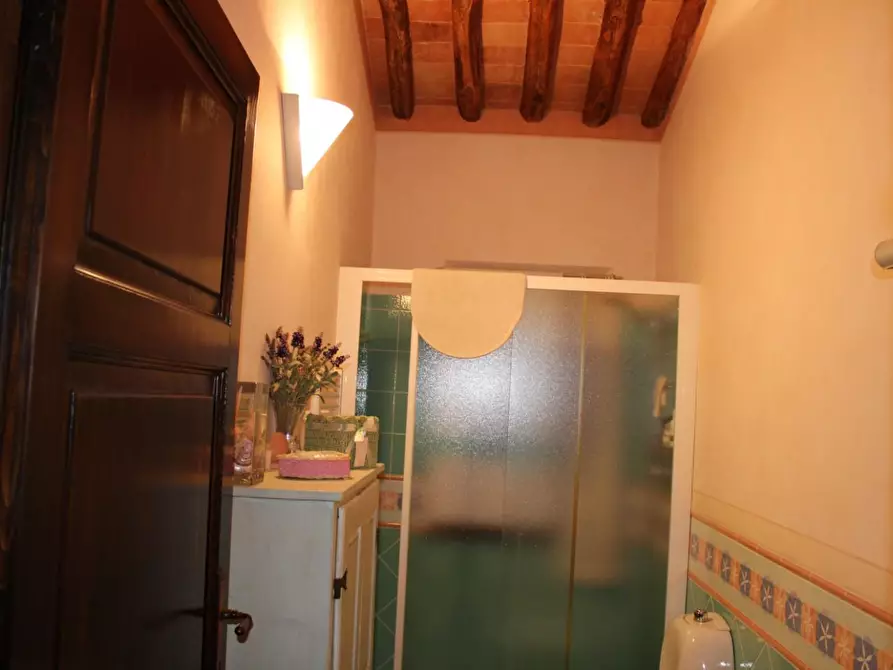 Immagine 60 di Casa colonica in vendita  a Crespina Lorenzana
