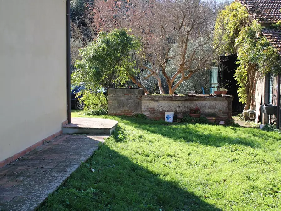 Immagine 48 di Casa colonica in vendita  a Crespina Lorenzana