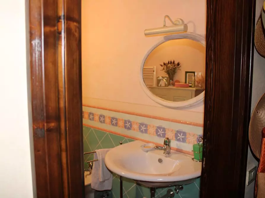 Immagine 61 di Casa colonica in vendita  a Crespina Lorenzana