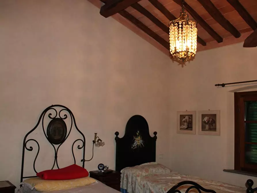 Immagine 25 di Casa colonica in vendita  a Crespina Lorenzana