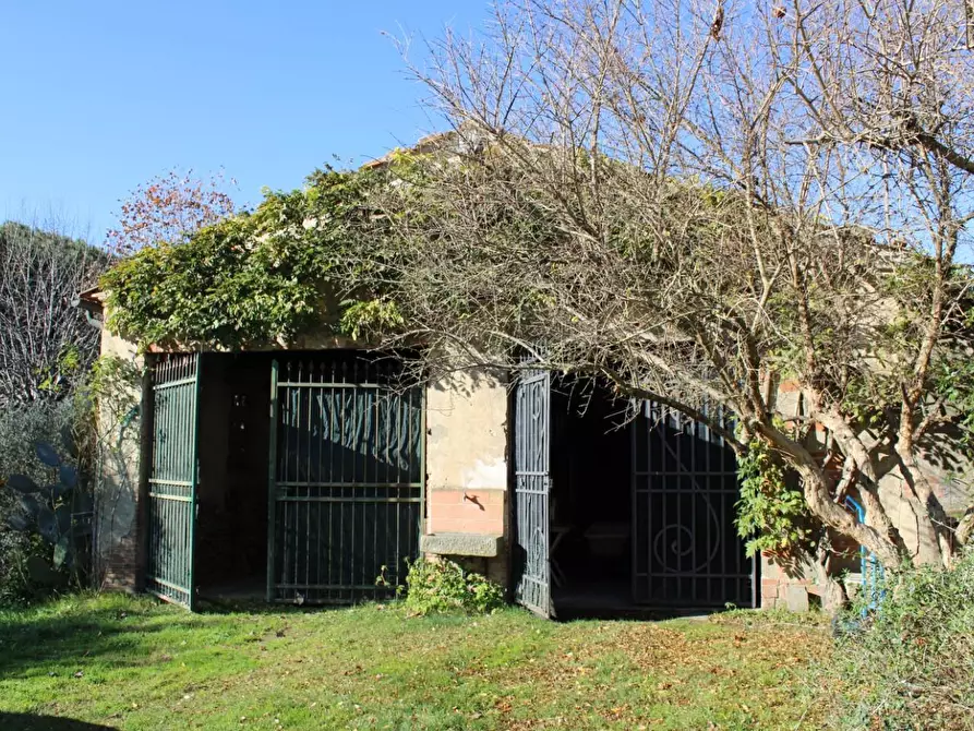 Immagine 89 di Casa colonica in vendita  a Crespina Lorenzana