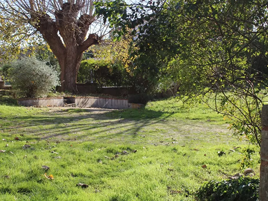 Immagine 87 di Casa colonica in vendita  a Crespina Lorenzana