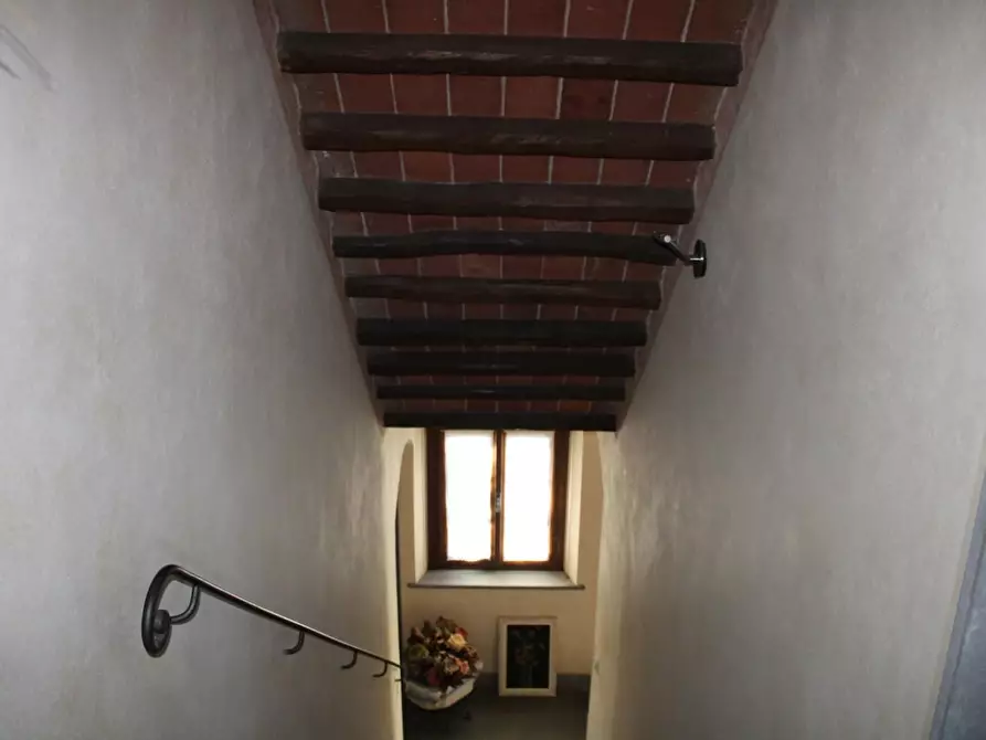Immagine 21 di Casa colonica in vendita  a Crespina Lorenzana