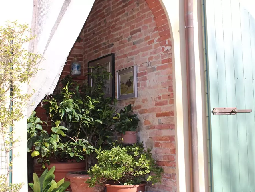 Immagine 88 di Casa colonica in vendita  a Crespina Lorenzana