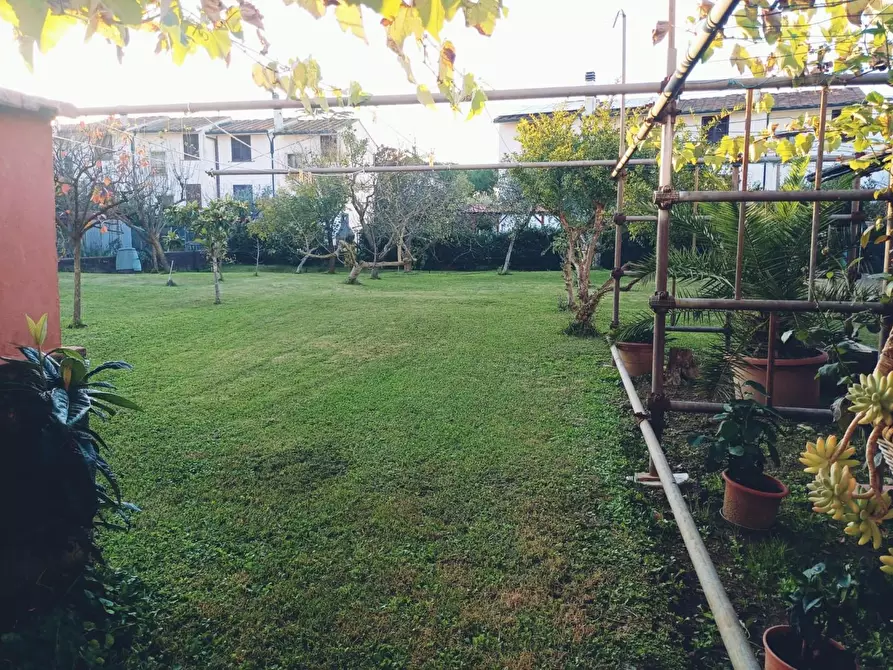 Immagine 1 di Villa in vendita  a Calcinaia