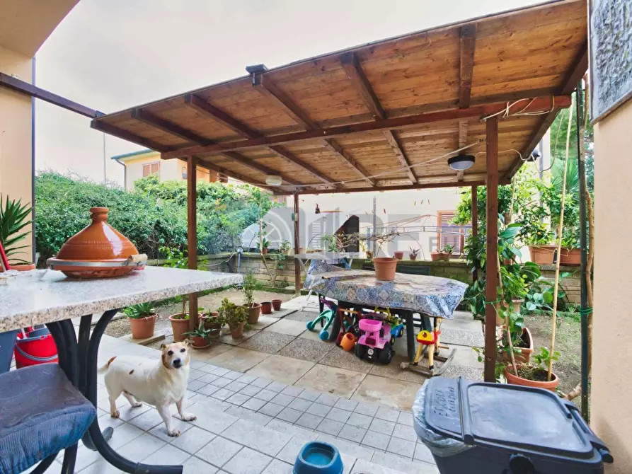 Immagine 15 di Appartamento in vendita  a Suvereto