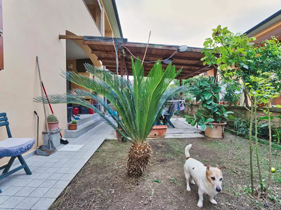 Immagine 18 di Appartamento in vendita  a Suvereto