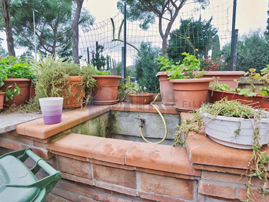 Immagine 19 di Appartamento in vendita  a Suvereto