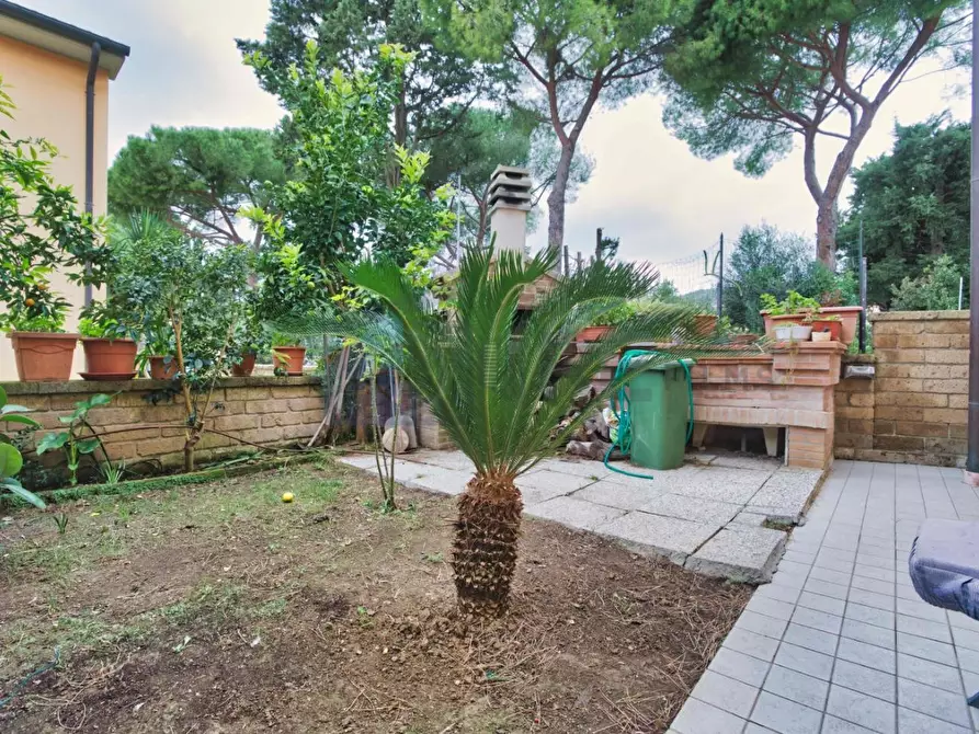 Immagine 16 di Appartamento in vendita  a Suvereto