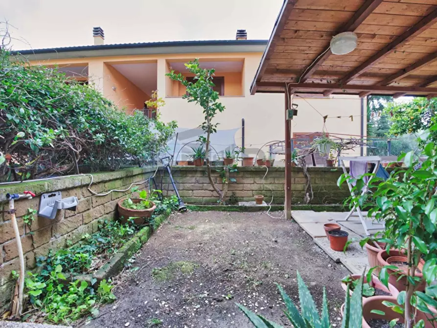 Immagine 22 di Appartamento in vendita  a Suvereto