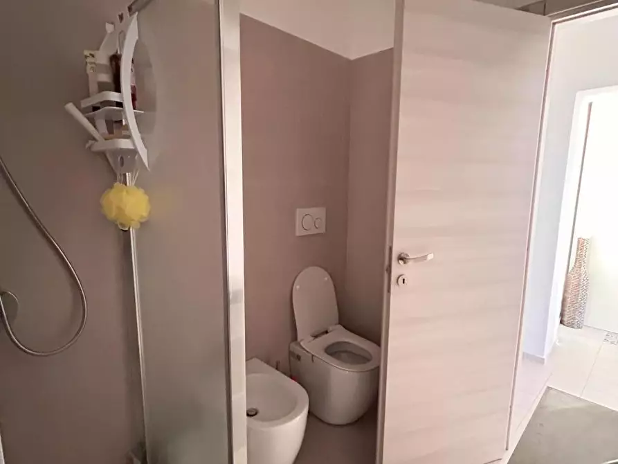 Immagine 15 di Appartamento in affitto  a Pisa