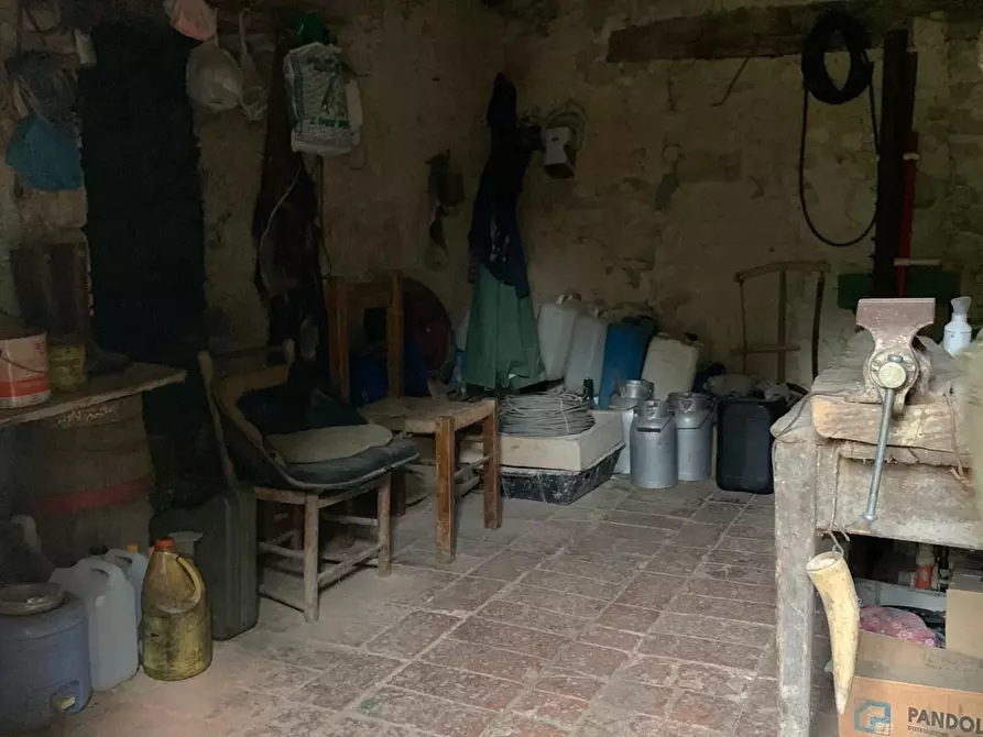 Immagine 7 di Casa colonica in vendita  a Semproniano