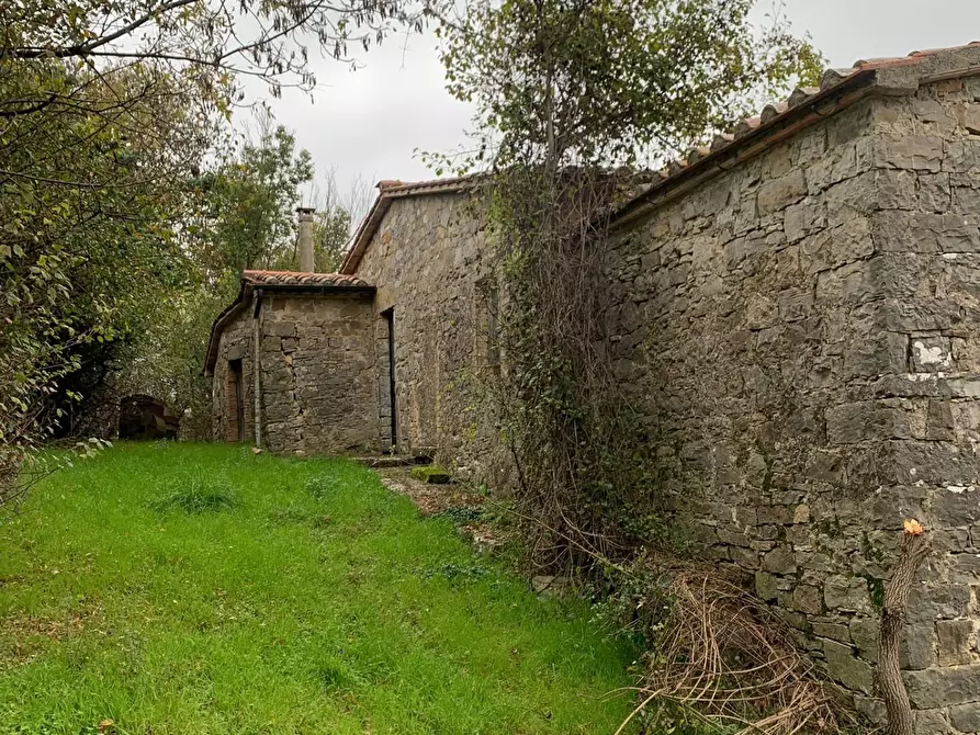 Immagine 15 di Casa colonica in vendita  a Semproniano