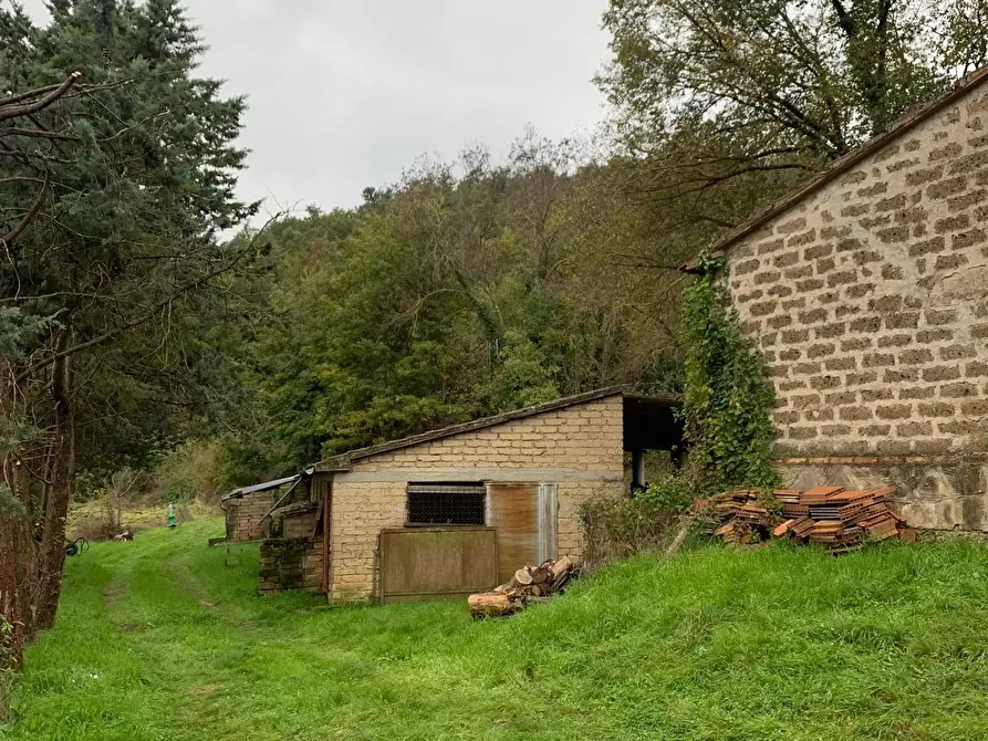 Immagine 3 di Casa colonica in vendita  a Semproniano