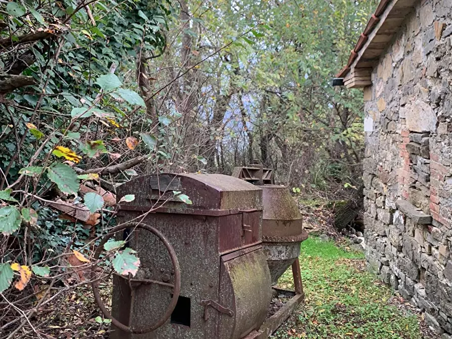 Immagine 11 di Casa colonica in vendita  a Semproniano