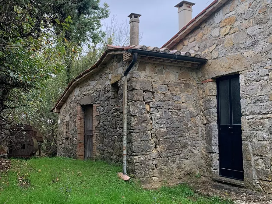 Immagine 13 di Casa colonica in vendita  a Semproniano