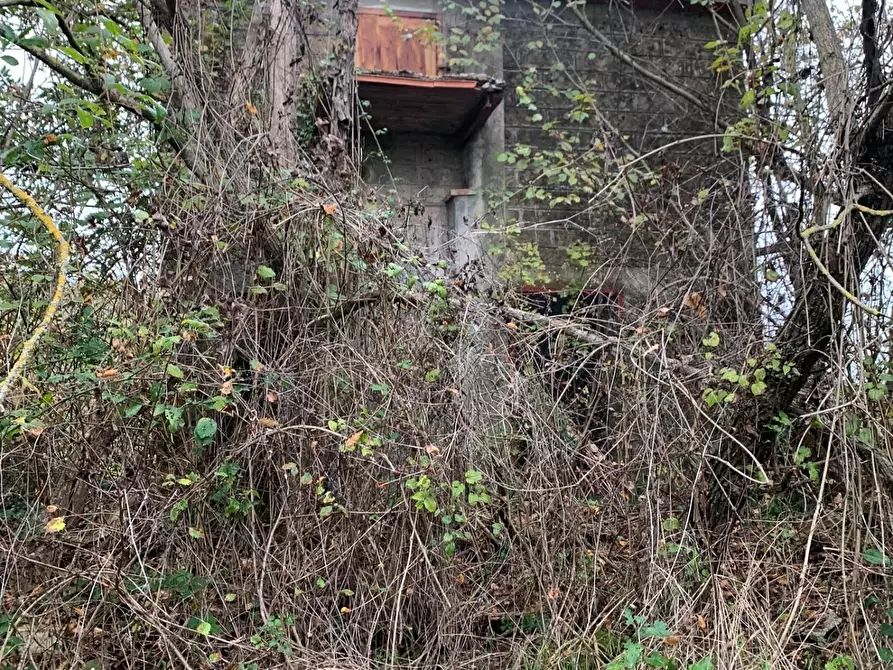 Immagine 14 di Casa colonica in vendita  a Semproniano