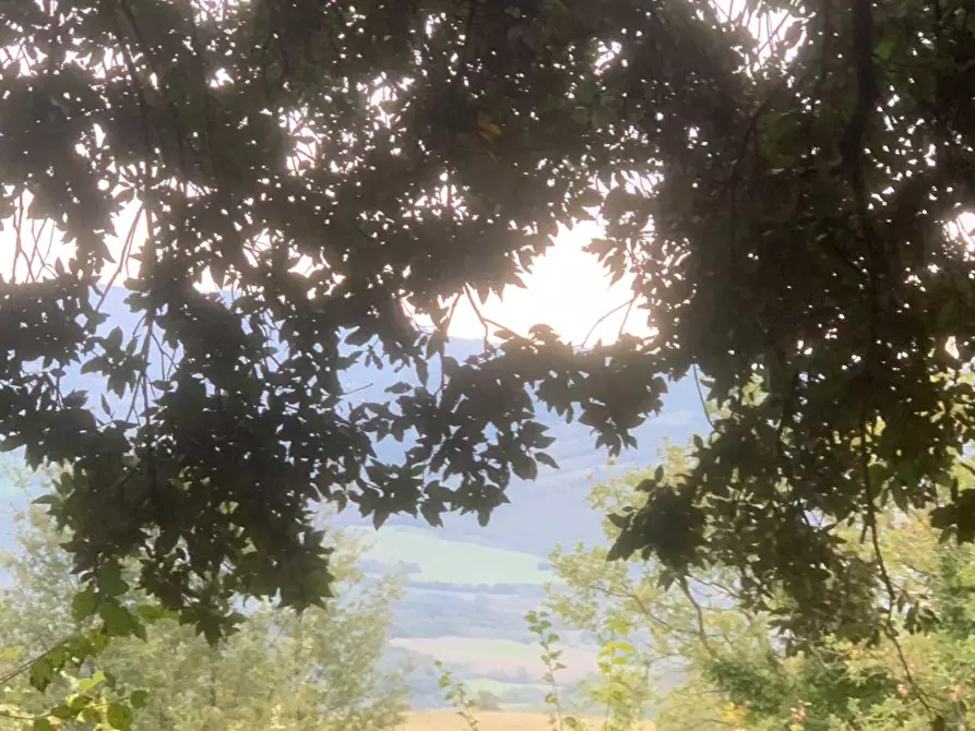 Immagine 2 di Casa colonica in vendita  a Semproniano