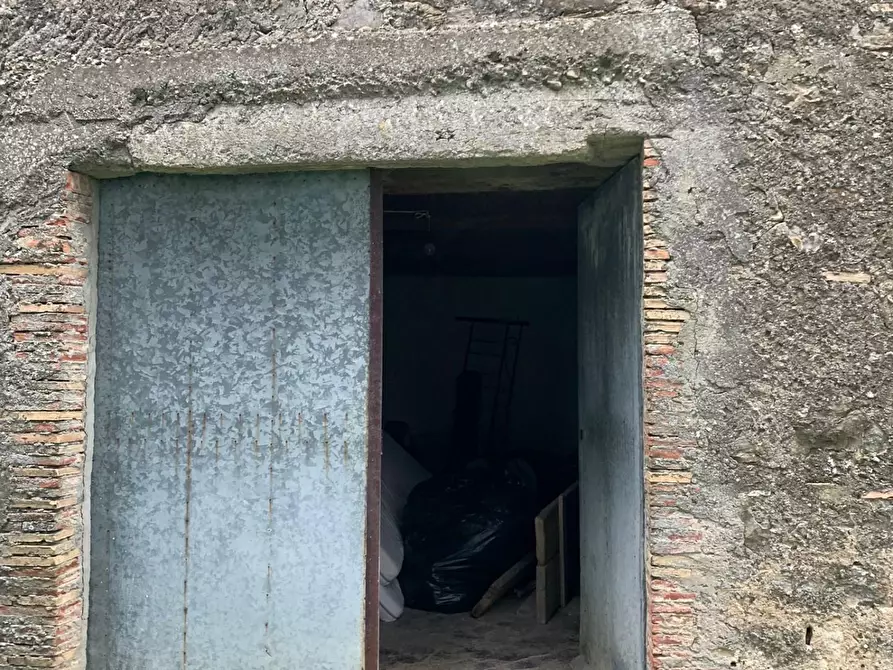 Immagine 6 di Casa colonica in vendita  a Semproniano
