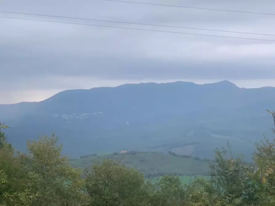 Immagine 8 di Casa colonica in vendita  a Semproniano