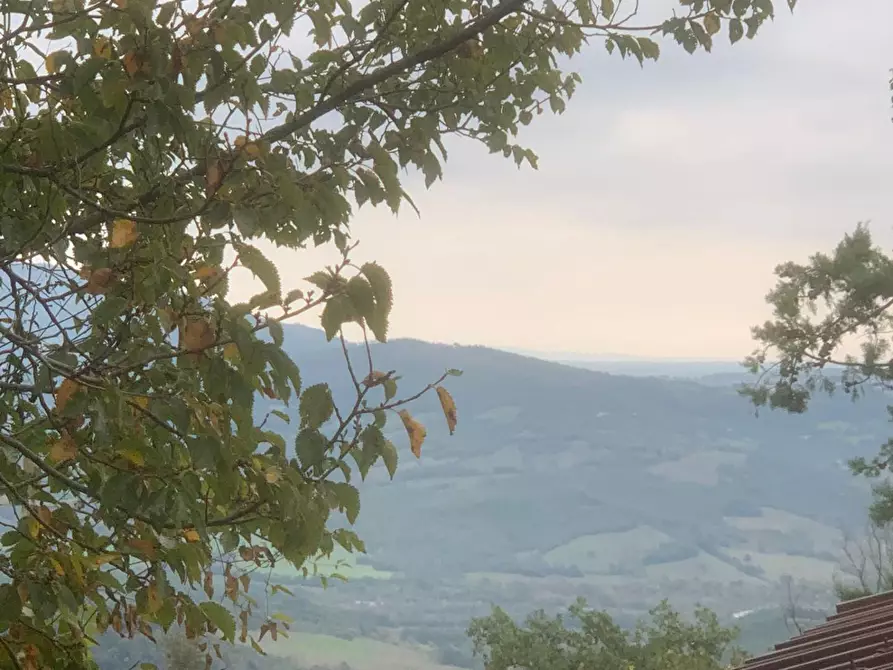 Immagine 12 di Casa colonica in vendita  a Semproniano