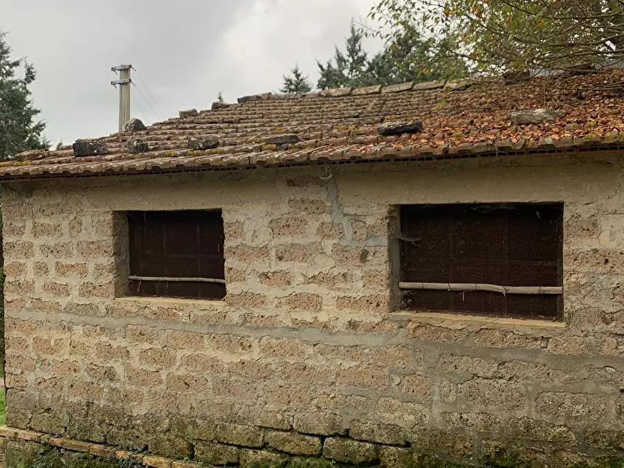 Immagine 16 di Casa colonica in vendita  a Semproniano