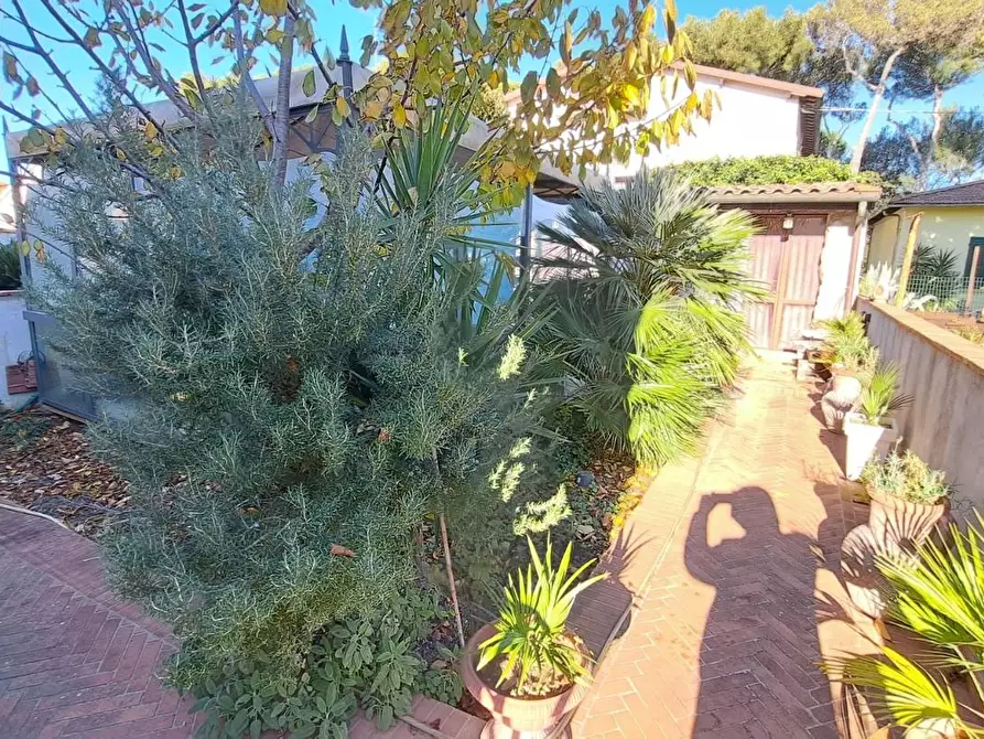 Immagine 3 di Casa bifamiliare in vendita  a Rosignano Marittimo