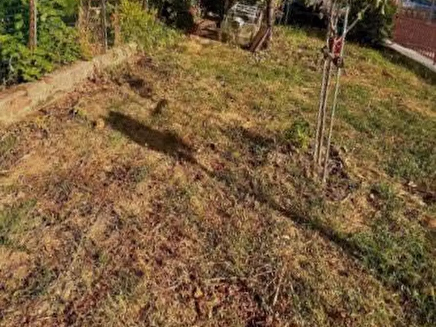 Immagine 21 di Appartamento in vendita  a Asciano