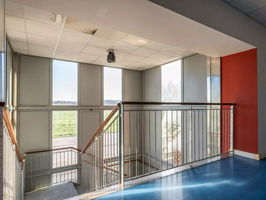 Immagine 27 di Attività artigianale in vendita  a Bientina