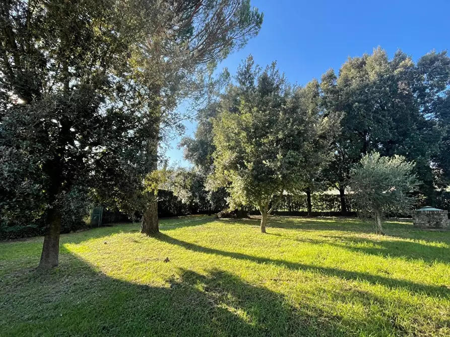 Immagine 3 di Villa in vendita  a San Miniato