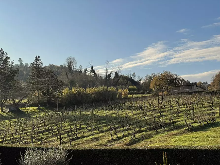 Immagine 35 di Villa in vendita  a San Miniato