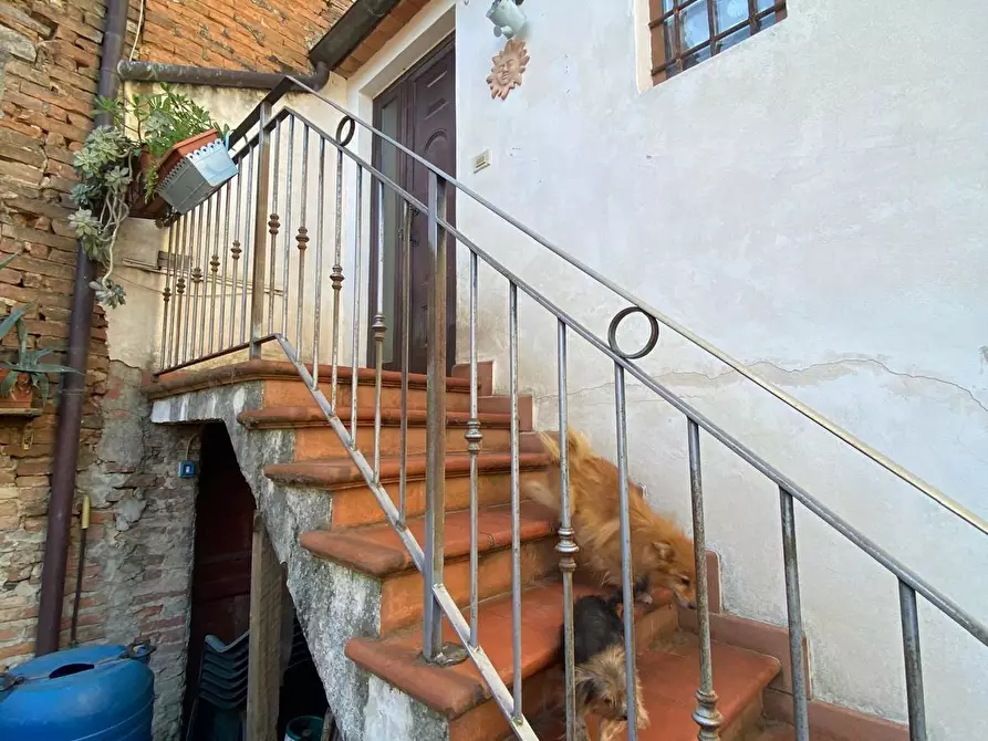 Immagine 21 di Terratetto in vendita  a Casciana Terme Lari