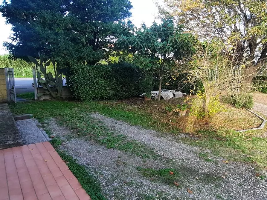 Immagine 4 di Terratetto in vendita  a Santa Maria A Monte