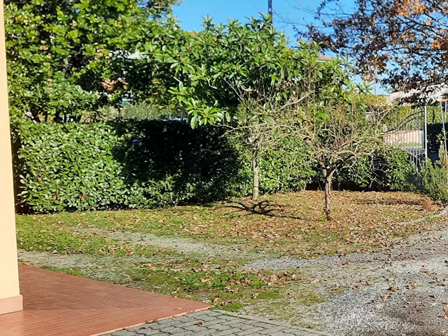 Immagine 13 di Terratetto in vendita  a Santa Maria A Monte