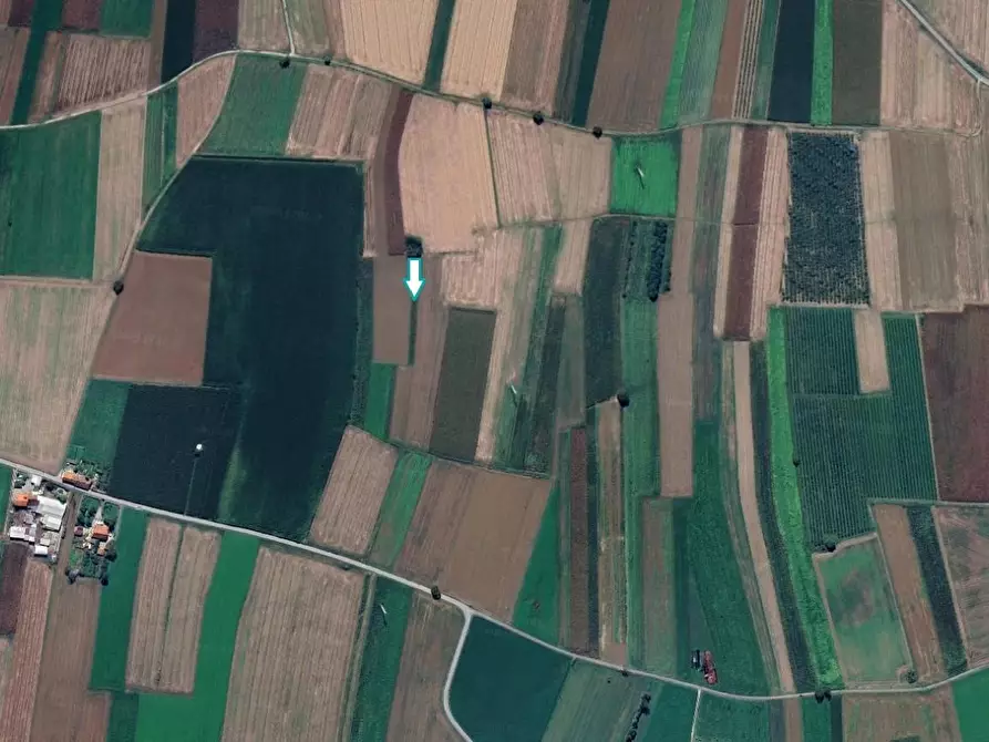 Immagine 1 di Terreno agricolo in vendita  a Scalenghe