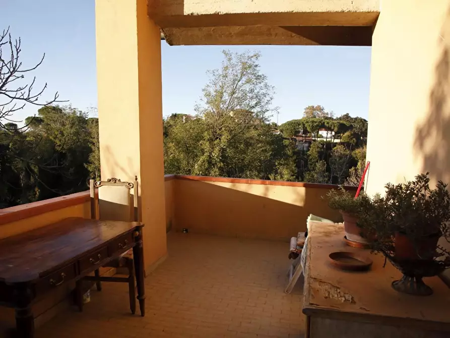 Immagine 9 di Casa indipendente in vendita  a Fauglia