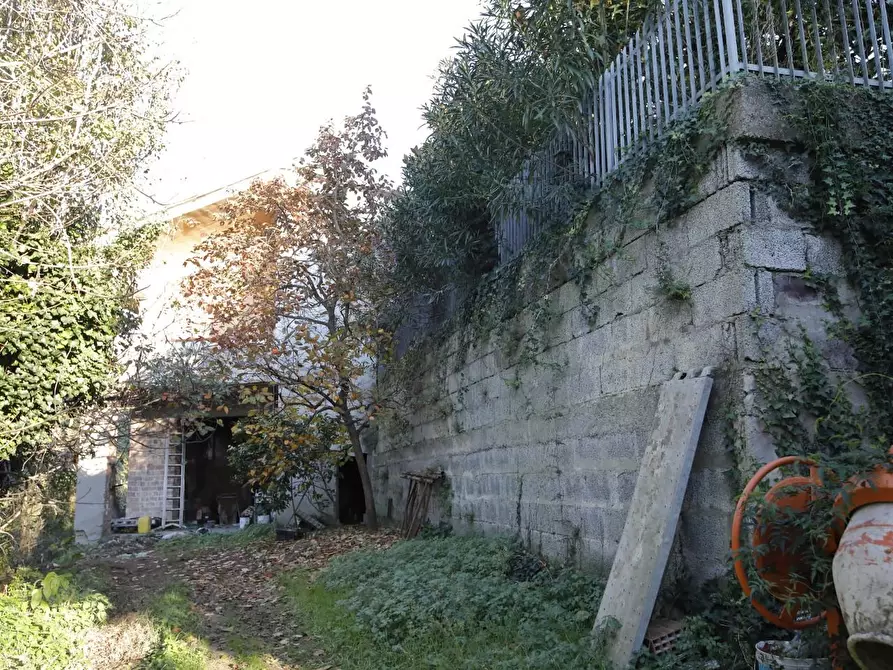 Immagine 14 di Casa indipendente in vendita  a Fauglia