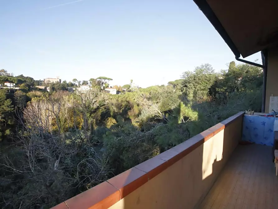 Immagine 12 di Casa indipendente in vendita  a Fauglia