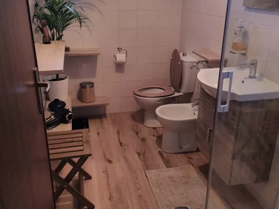 Immagine 23 di Appartamento in affitto  a Rosignano Marittimo