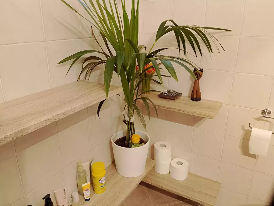 Immagine 18 di Appartamento in affitto  a Rosignano Marittimo