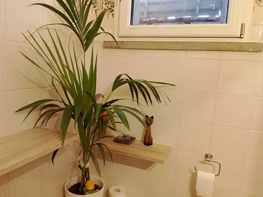 Immagine 20 di Appartamento in affitto  a Rosignano Marittimo