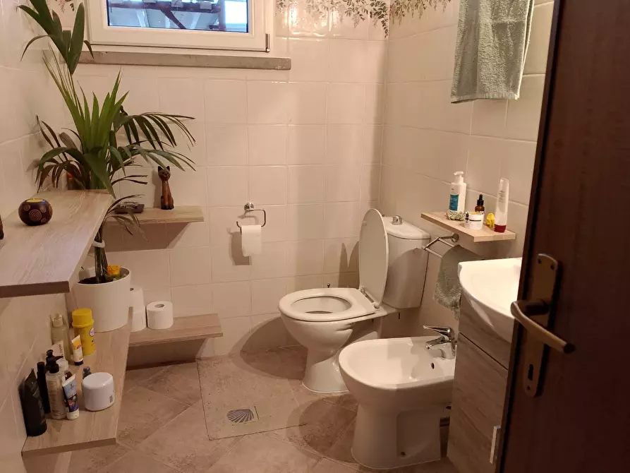 Immagine 15 di Appartamento in affitto  a Rosignano Marittimo